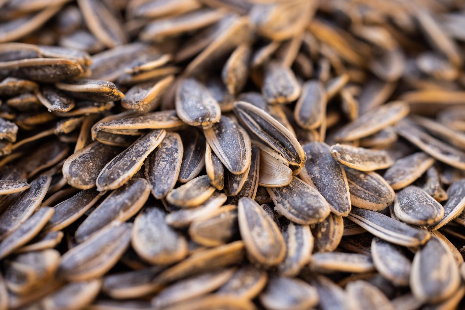 4 Reasons Why You Should Eat More Sunflower Seeds
